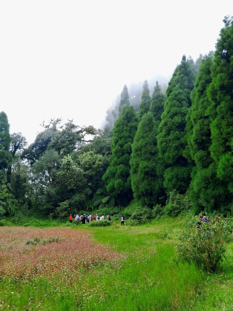 3 – Wanderlust Escape