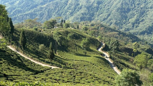 IMG-20241122-WA0005 – Darjeeling Village
