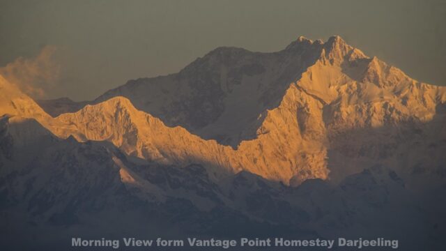 Vantage Point5 – Vantage Point