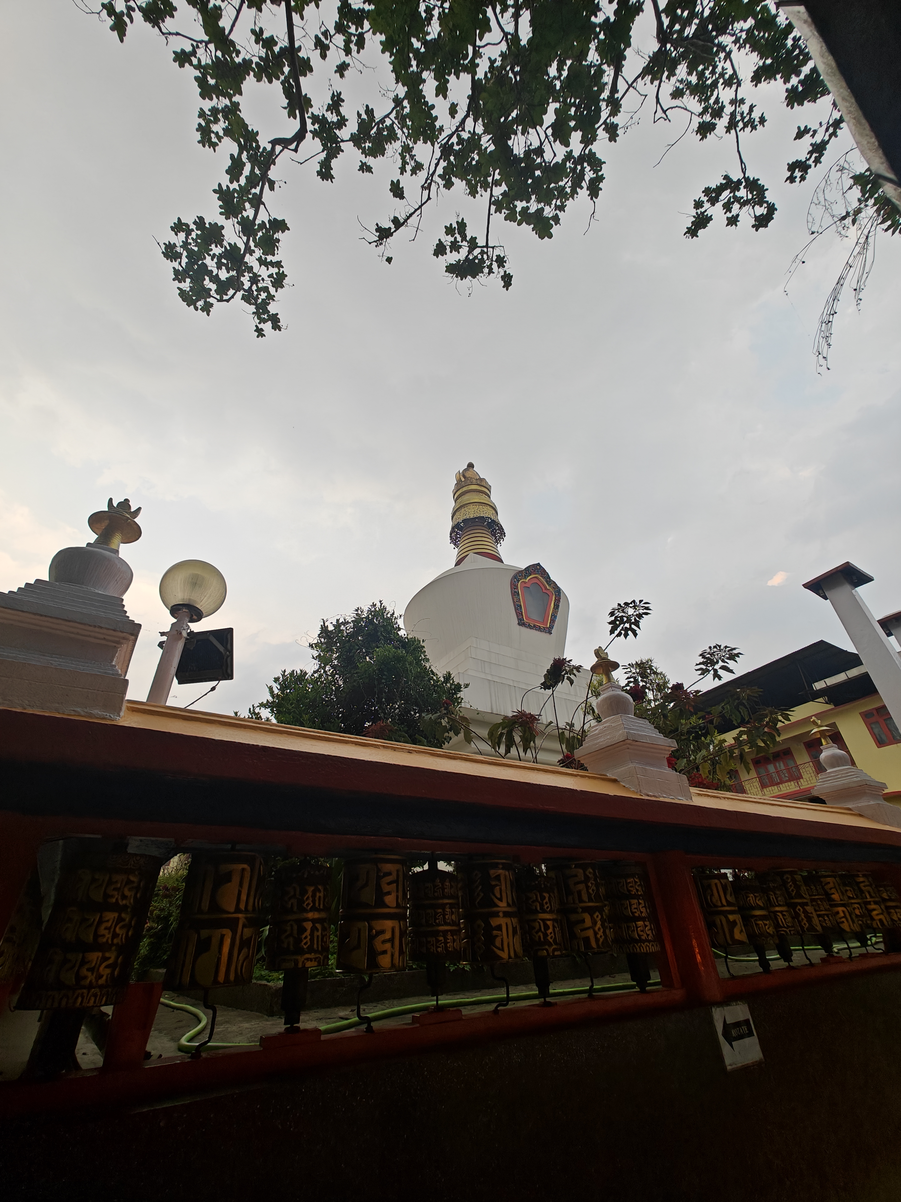 IMG20240430172815
